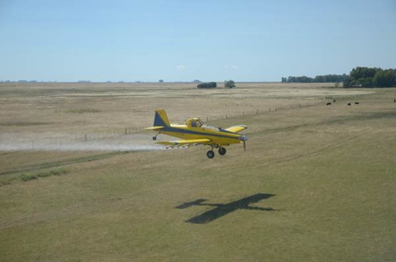 Avanza la campa�a contra la tucura 2025-2026